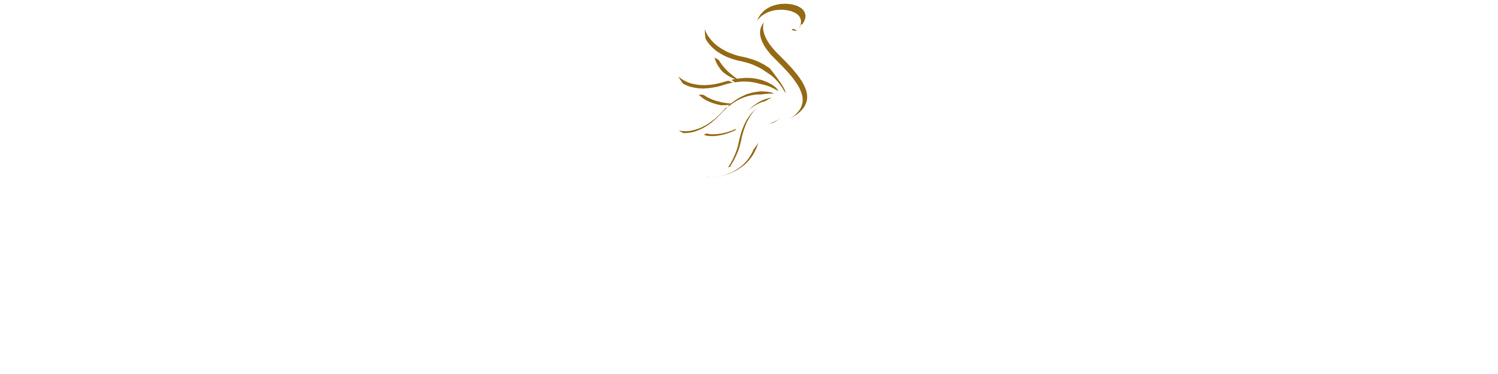 Trucco Acconciature Marimonio Roma Prati-Giulia Marapodi